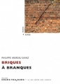 Couverture Briques à branques Editions Cours Toujours 2017