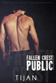 Couverture Fallen crest, tome 3 Editions Autoédité 2013