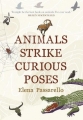 Couverture Animals Strike Curious Poses Editions Jonathan Cape 2017