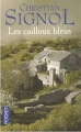 Couverture Le pays bleu, tome 1 : Les cailloux bleus Editions Pocket 1984