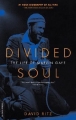 Couverture Divided Soul: The Life Of Marvin Gaye Editions Da Capo Press 2003