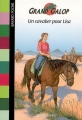 Couverture Un cavalier pour Lisa Editions Bayard (Poche) 2007