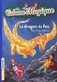 Couverture Le dragon de feu Editions Bayard (Aventure) 2017