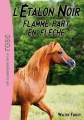 Couverture L'étalon noir, tome 11 : Flamme part en flèche Editions Hachette (Les classiques de la rose) 2013