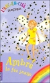 Couverture L'arc-en-ciel magique, tome 3 : Ambre, la fée jaune / Aurore, la fée jaune Editions Pocket (Jeunesse) 2006
