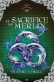 Couverture Le secret des druides, tome 4 : Le sacrifice de Merlin Editions AdA 2017