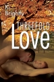 Couverture Threefold Love Editions Dreamspinner Press 2015
