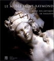 Couverture Le musée Saint-Raymond : Le musée des Antiques de Toulouse Editions Somogy 1999