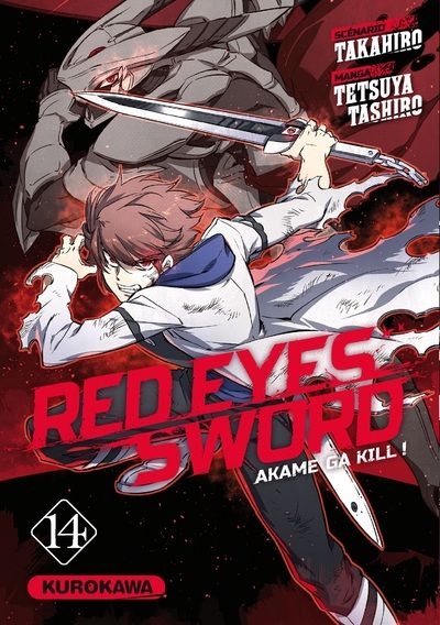 Couverture Red eyes sword, tome 14
