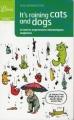 Couverture It's raining cats and dogs et autres expressions idiomatiques anglaises Editions Librio 2008
