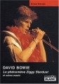 Couverture David Bowie : Le phénomène Ziggy Stardust et autres essais Editions Camion blanc 2009