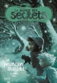 Couverture La maison des secrets, tome 5 : Le peintre maudit Editions Seuil (Jeunesse) 2014