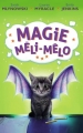 Couverture Magie méli-mélo / L'école des apprentis magiciens, tome 1 : Une classe pas comme les autres Editions France Loisirs 2016