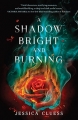 Couverture Kingdom on Fire, book 1: A shadow bright and burning Editions Random House (Children's Books) 2016