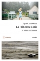 Couverture La Princesse-Maïs et autres cauchemars Editions Philippe Rey 2017