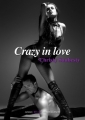 Couverture Crazy in love Editions Numeriklivres 2013