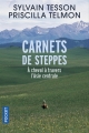 Couverture Carnets de steppes : A cheval à travers l'Asie centrale Editions Pocket 2017