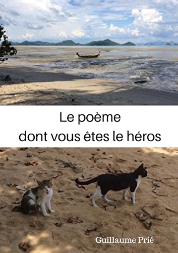 Le poème dont vous êtes le héros