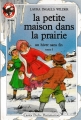 Couverture La petite maison dans la prairie, tome 5 : Un hiver sans fin Editions Flammarion (Castor poche) 1986