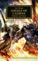 Couverture L'hérésie d'Horus, tome 38 : Les anges de Caliban Editions Black Library France (Warhammer 40.000) 2017