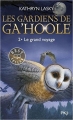 Couverture Les gardiens de Ga'Hoole, tome 02 : Le grand voyage Editions Pocket (Jeunesse) 2017