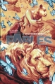 Couverture Fables (cartonné), tome 22 : Et ils vécurent heureux Editions Urban Comics (Vertigo Classiques) 2015