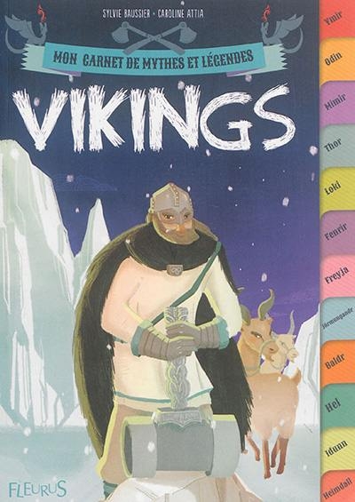 Couverture Vikings