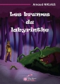Couverture Les brumes du labyrinthe Editions Alexandra de Saint Prix 2013