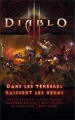 Couverture Diablo : Dans les ténèbres naissent les héros Editions Panini (Books) 2013