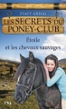 Couverture Les secrets du poney-club, tome 03 : Etoile et les chevaux sauvages Editions Pocket (Jeunesse) 2011