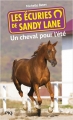 Couverture Les écuries de Sandy Lane, tome 1 : Un cheval pour l'été Editions Pocket (Jeunesse) 2014