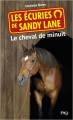 Couverture Les écuries de Sandy Lane, tome 4 : Le cheval de minuit Editions Pocket (Jeunesse) 2014