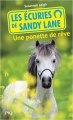 Couverture Les écuries de Sandy Lane, tome 5 : Une ponette de rêve Editions Pocket (Jeunesse) 2015