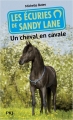 Couverture Les écuries de Sandy Lane, tome 7 : Un cheval en cavale Editions Pocket (Jeunesse) 2015