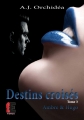 Couverture Destins croisés, tome 3 : Ambre & Hugo Editions Evidence (Venus) 2018
