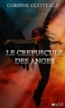 Couverture Le Crépuscule des anges Editions Voy'[el] 2009