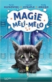 Couverture Magie méli-mélo / L'école des apprentis magiciens, tome 2 : Une classe en danger Editions France Loisirs 2018