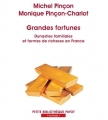 Couverture Grandes fortunes : Dynasties familiales et formes de richesse en France Editions Payot (Petite bibliothèque) 2006