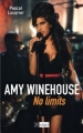 Couverture Amy Winehouse no limits Editions L'Archipel 2018