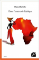 Couverture Dans l'ombre de l'Afrique Editions du Panthéon 2017