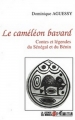 Couverture Le caméléon bavard Editions L'Harmattan (La légende des mondes) 1994