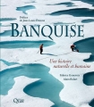 Couverture Banquise. ￼Une histoire naturelle et humaine Editions Quae 2018