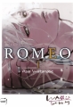 Couverture D.S.P Romeo, tome 1 Editions Taifu comics (Yaoï) 2018