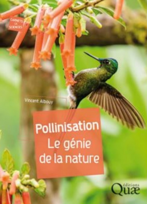 Couverture Pollinisation : Le génie de la nature
