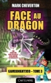 Couverture Gameknight999, tome 3 : Face au Dragon Editions Castelmore 2015