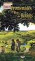 Couverture Promenades au pays des Hobbits : Itinéraires à travers la Comté de J.R.R. Tolkien Editions Terre De Brume (Terres fantastiques) 2015