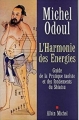Couverture L'harmonie des énergies : Guide de la pratique taoïste et des fondements du Shiatsu Editions Albin Michel 2002