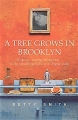 Couverture Une petite fille de Brooklyn / Le lys de Brooklyn Editions Arrow Books 1992