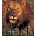 Couverture Incroyables lions Editions White Star 2009
