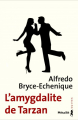 Couverture L'Amygdalite de Tarzan Editions Métailié (Suites) 2001